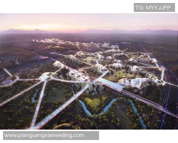 成都排球队的转型之路与未来发展趋势深度解析