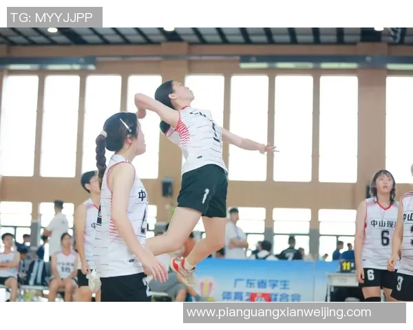 武汉排球队强势领跑排球状态排行榜展现卓越实力与团队精神