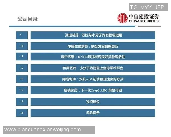 武汉羽毛球队进攻策略深度解析与技战术创新探讨